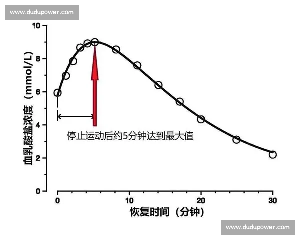 科学系统提升体能与持久力的全方位耐力训练方案解析