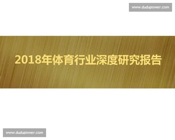 全面解析体育团队赛季表现与关键胜负因素的深度报告