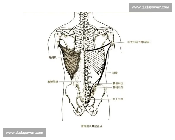 科学高效肌肉恢复方法全解析助力训练效果最大化